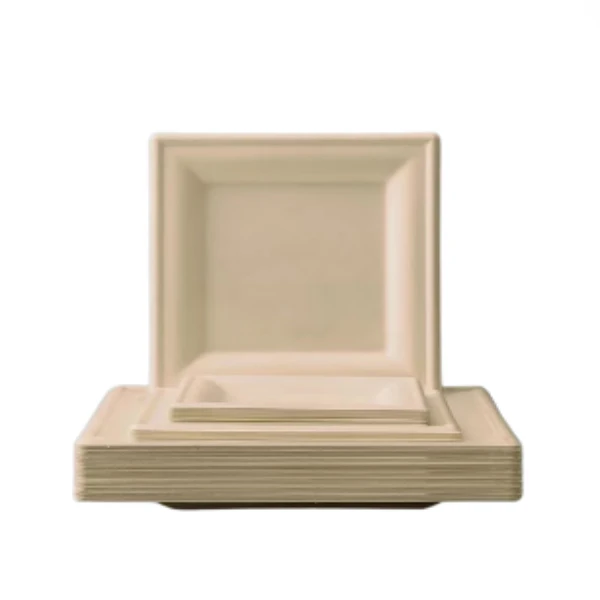 1o inch bagasse tray