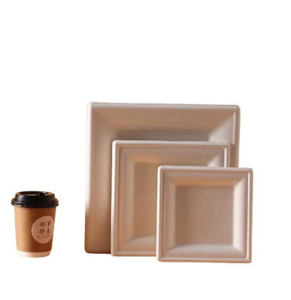 heatproof bagasse tray
