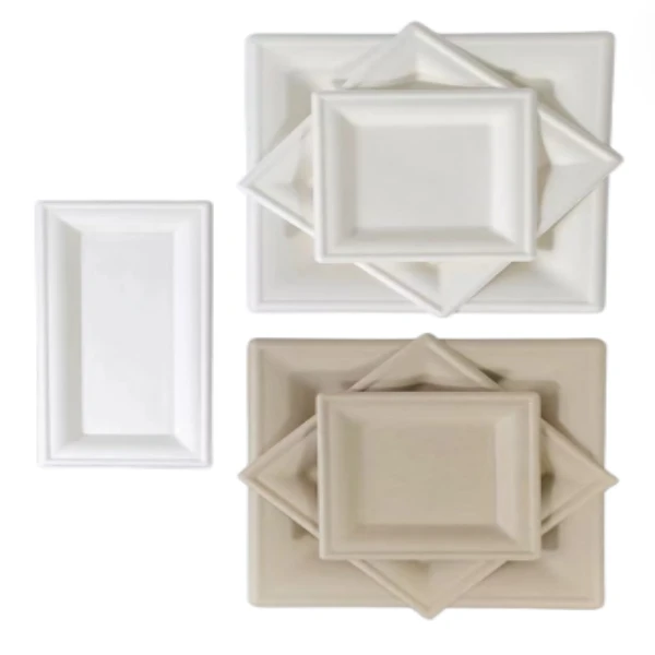 bagasse dessert tray