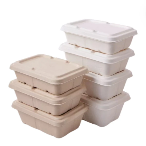 bagasse filp top box