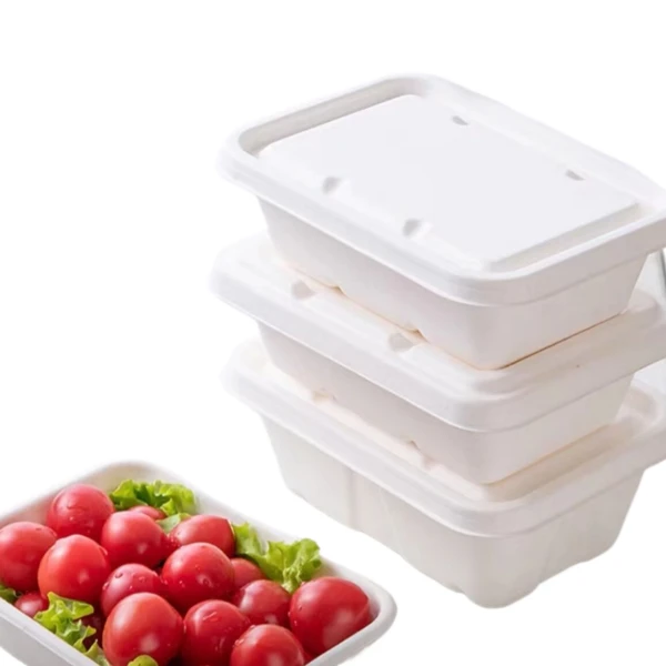 biodegradable bagasse lid biodegradable bagasse lid