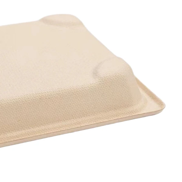 disposable packaging bagasse lid
