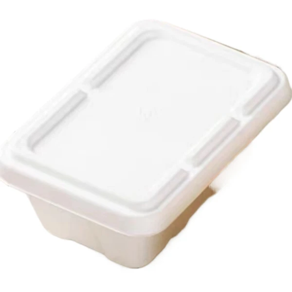 productcate-1-1 eco food bagasse lid
