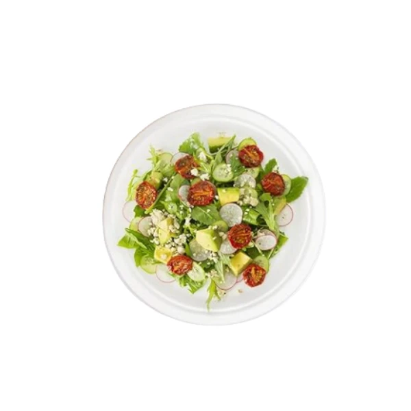 3 biodegradable bagasse food plate