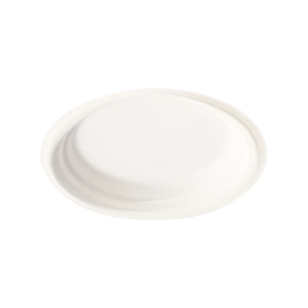 4 sugarcane disposable plate