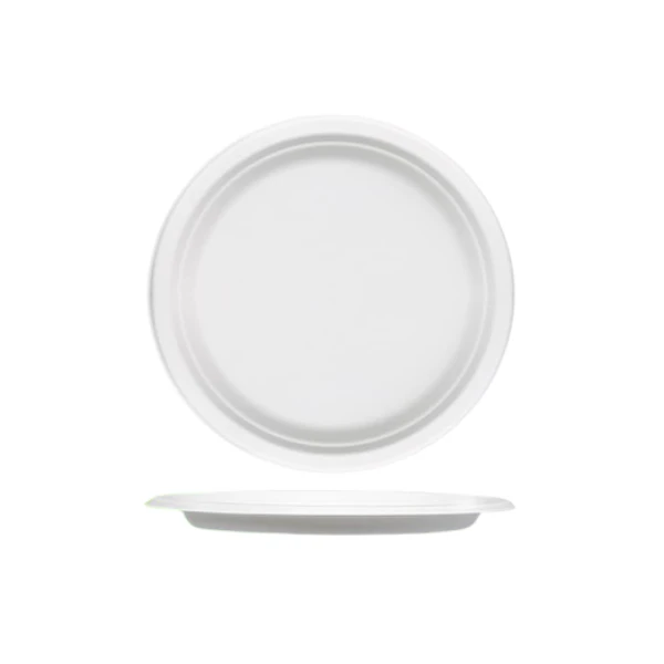 2 sugarcane fibre plates
