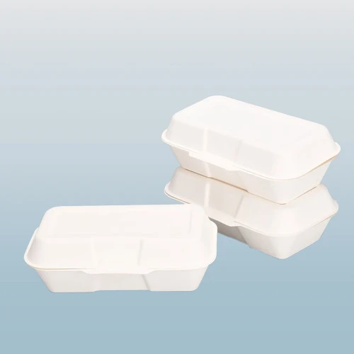 7x5 Inch Bagasse Box