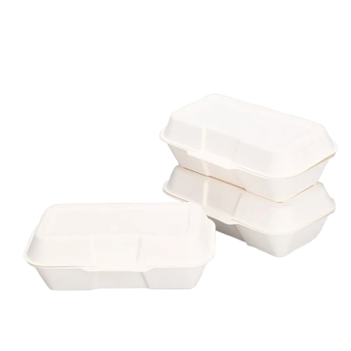 7x5 Inch Bagasse Box