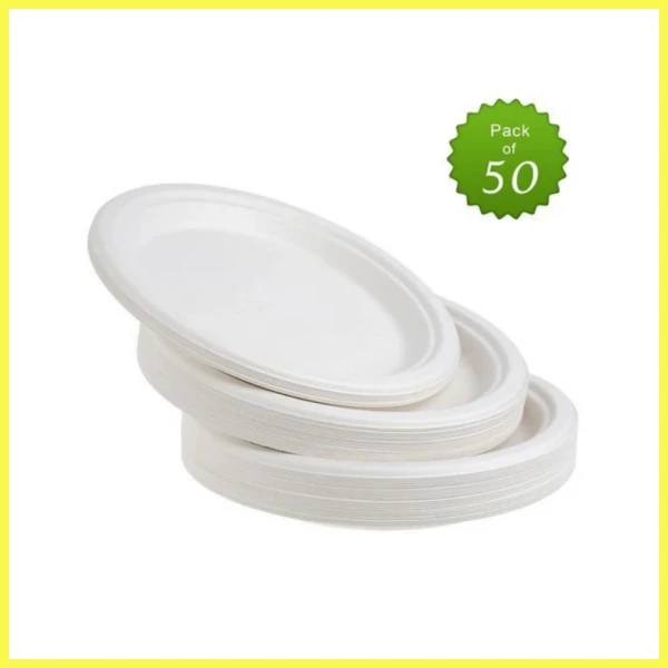 Biodegradable Plates 9 Inch factory
