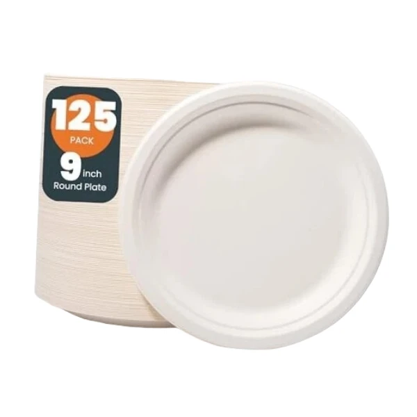 Biodegradable Plates 9 Inch suppliers
