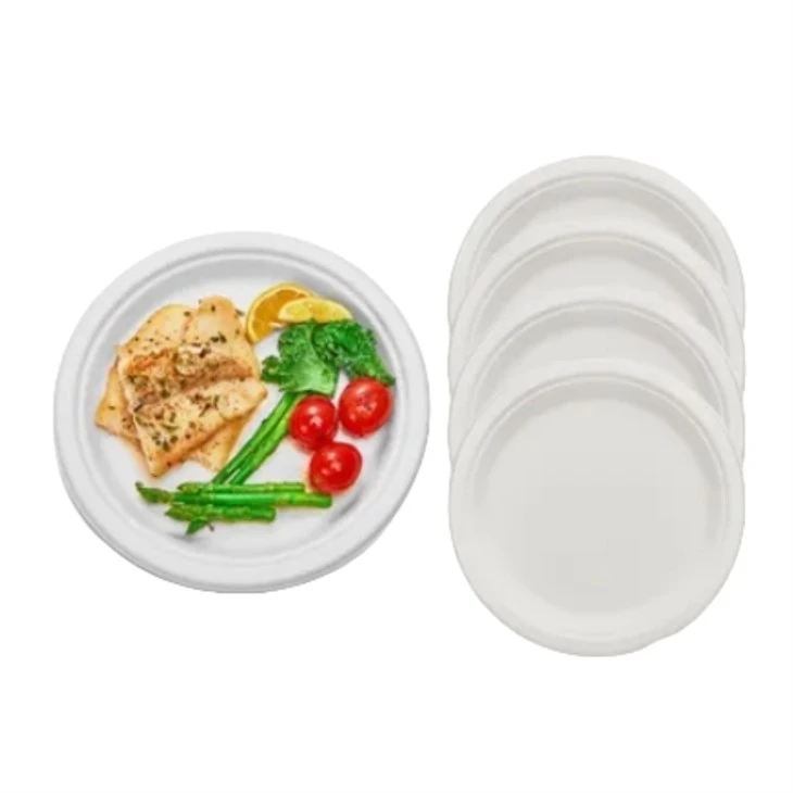 Biodegradable Plates 9 Inch high quality
