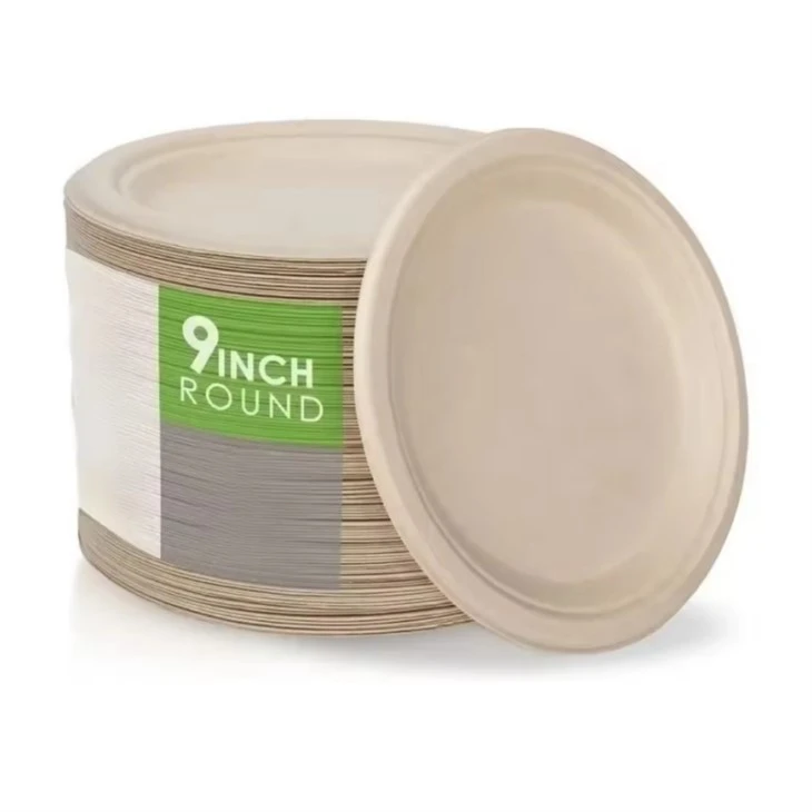 Biodegradable Plates 9 Inch best