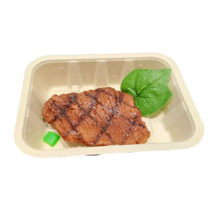Supermarket Fresh Meat Frozen Chicken Steak Tray