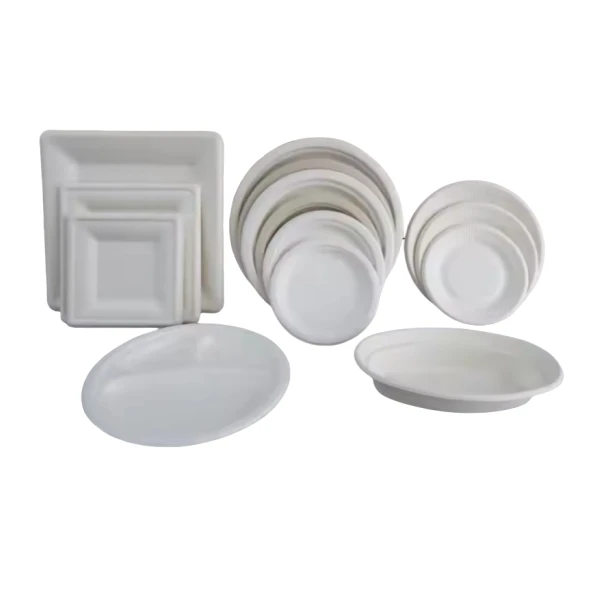 Wholesale 7/9 Inch Biodegradable Bagasse Sugarcane Plates factory