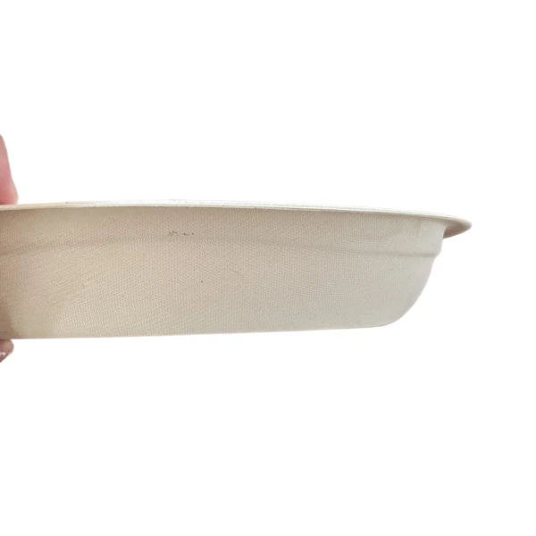 1 compt container food packaging