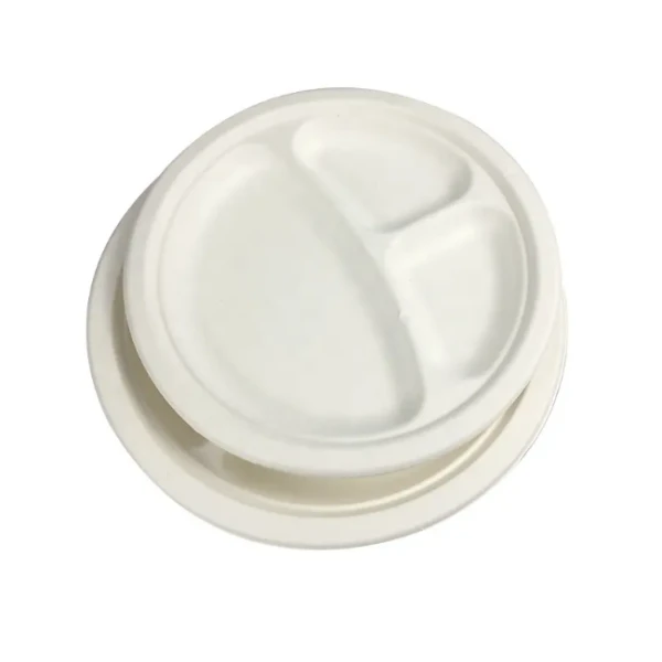 2 bagasse compartment plate