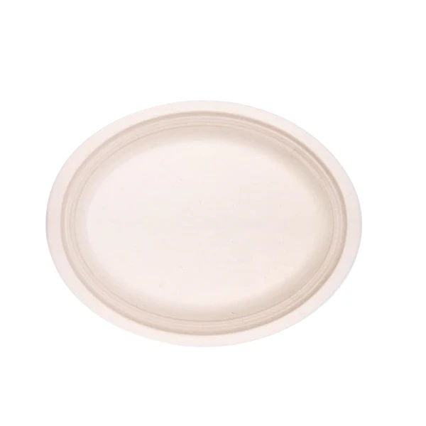 2 eco-friendly paper plates