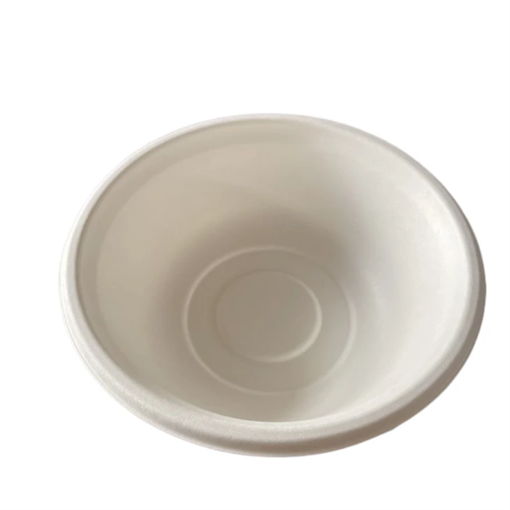 bagasse bowl for food