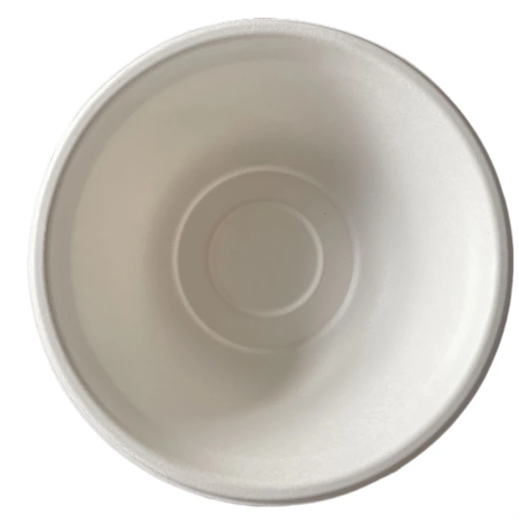 bagasse bowl eco pack