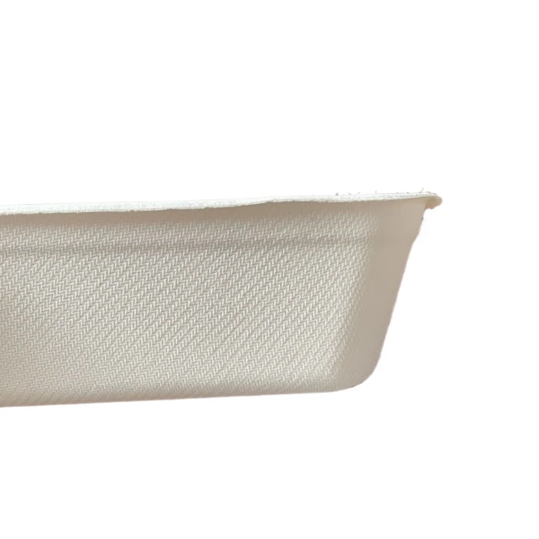bagasse container