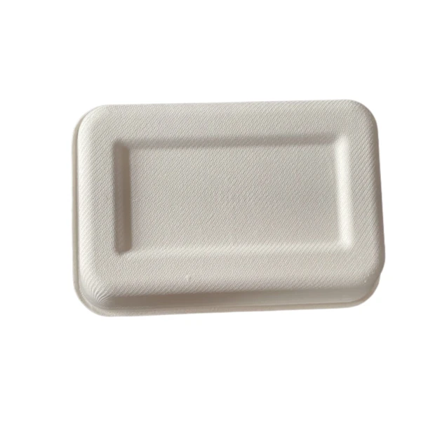 eco food packaging bagasse container