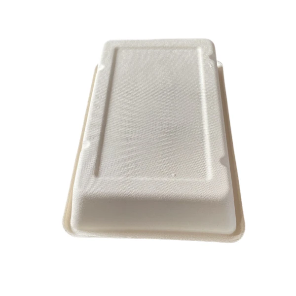 eco friendly food packaging bagasse large container