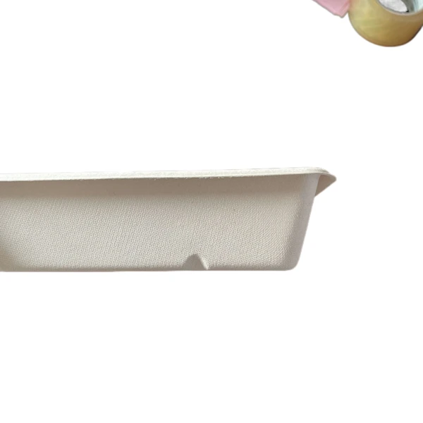 takeaway packaging bagasse large container
