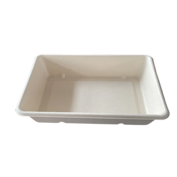 packaging bagasse large container