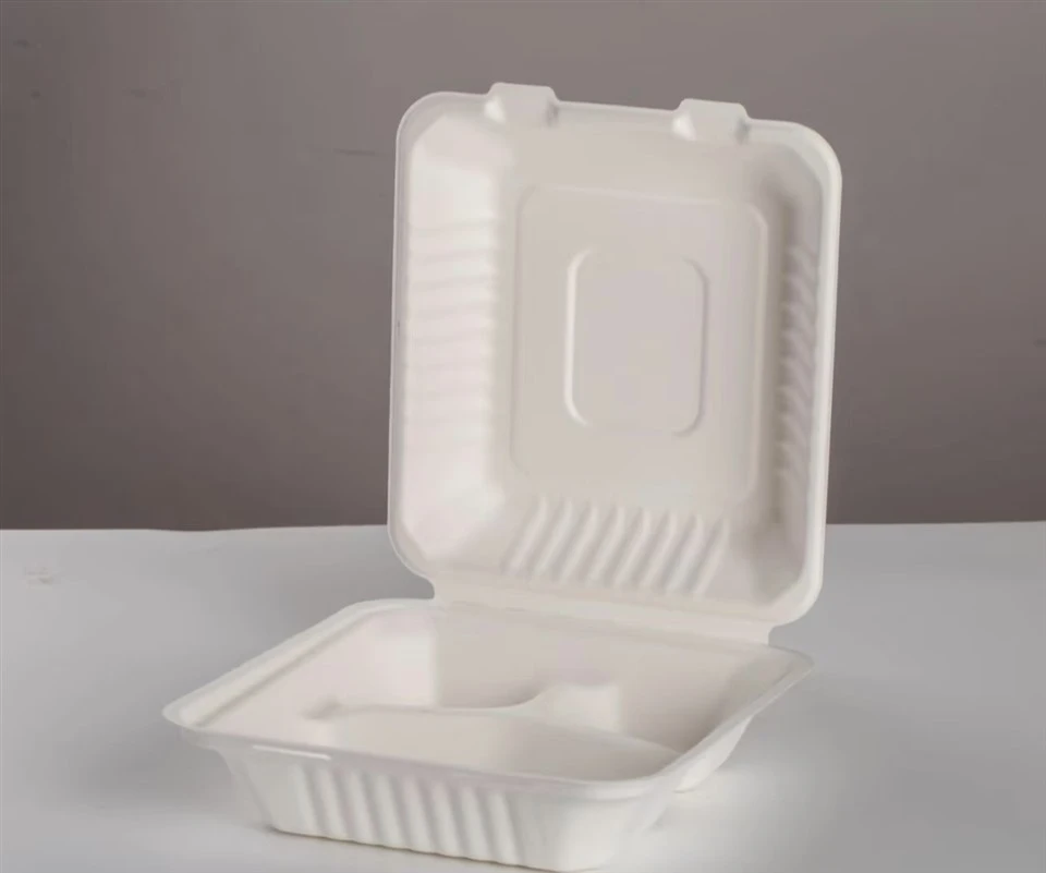 Bagasse 8-inch Three-grid Square Box