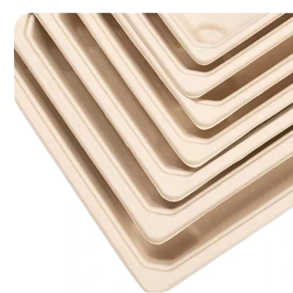 eco friendly food packaging bagasse lid