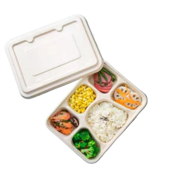 productcate-1-1 disposable food packaging bagasse lid