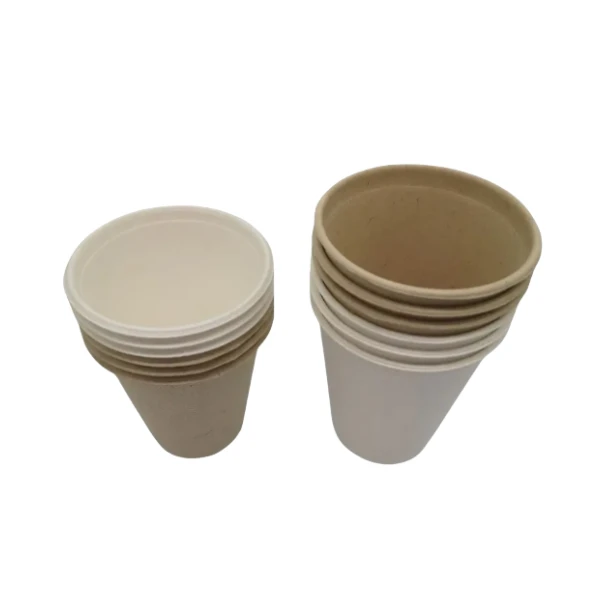 3 sugarcane bagasse cups