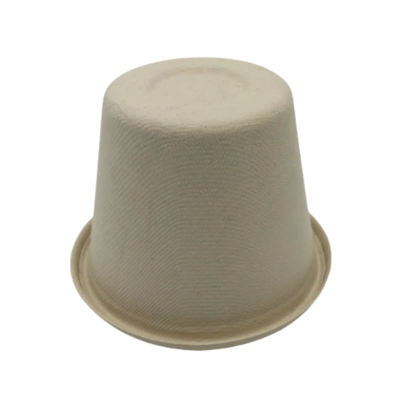 4 sugarcane paper cup packaging