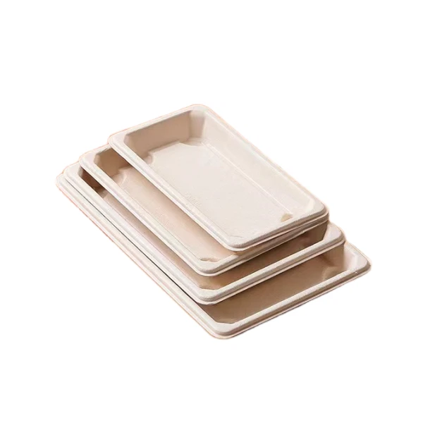 5 disposable sugarcane trays