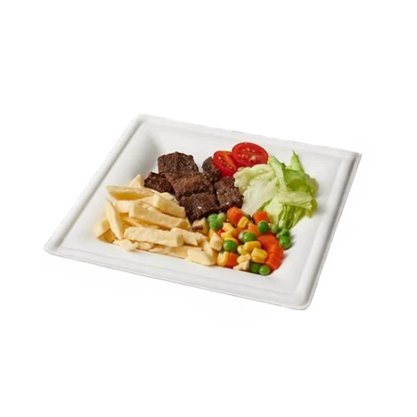 4 picnic bagasse plate