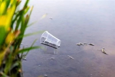What are the hazards of disposable plastic tableware?
