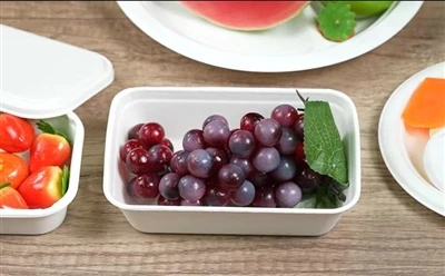 Daily use of bagasse lunch boxes