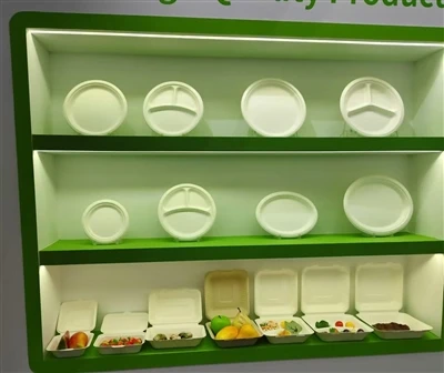 Difference Between Molded Paper Pulp Packaging vs Plastic Packaging