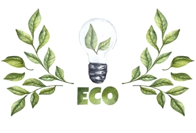 Choose Our 100% Eco-Friendly Bagasse Tableware