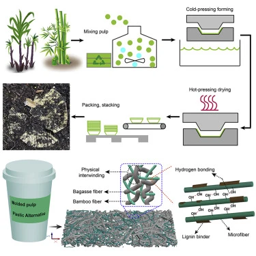 Why Sugarcane Bagasee Becomes Main Material Of Biodegradable Tableware