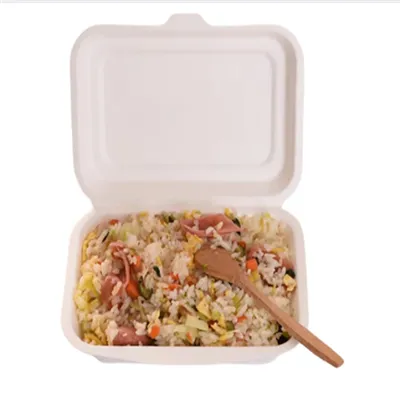 Bagasse Hinged Box