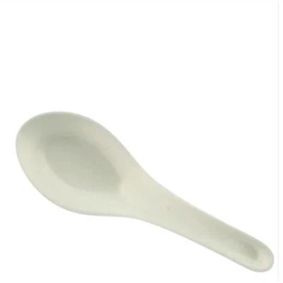 Bagasse Spoon