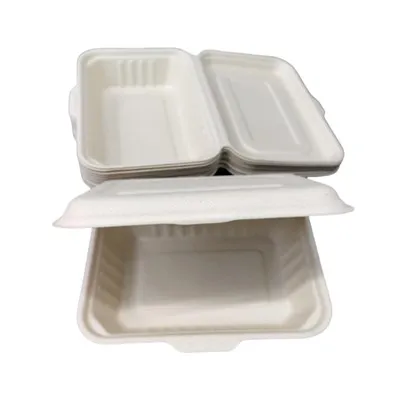 9"x 6"Take Out Food Containers