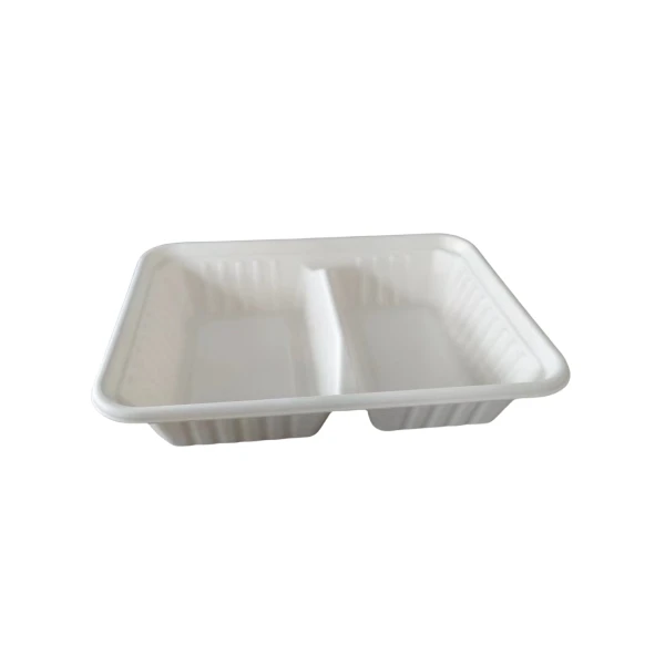 2comp bagasse tray