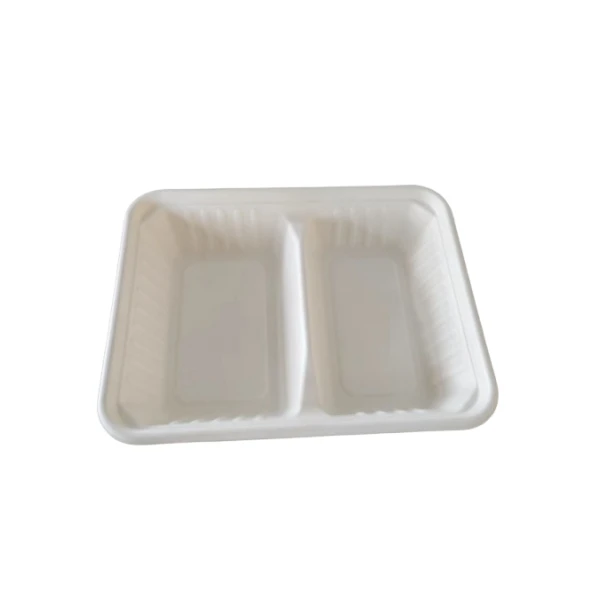 2comp bagasse takeaway box