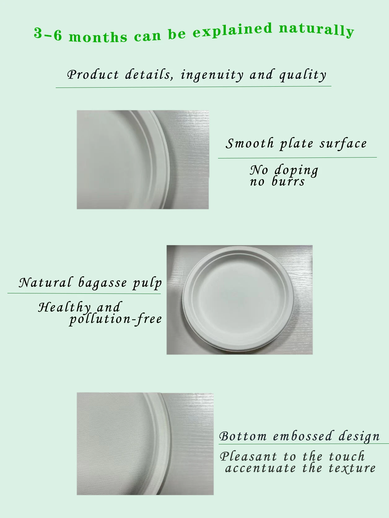 product-1256-1674 product-1256-1674