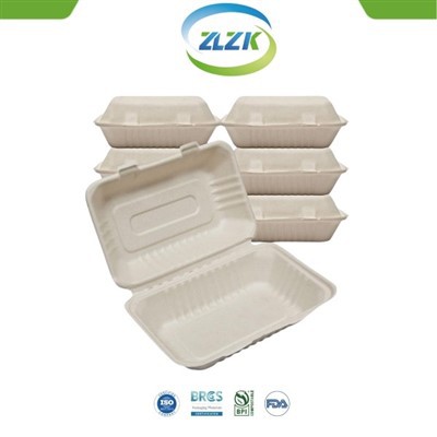 9x6 Inch Fast Food Clamshell Lunch Box