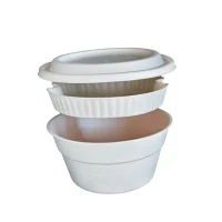 Durable Bagasse Bowl Set With Mid Layer For Toppings