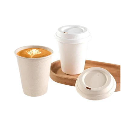 Process flow of sugarcane pulp tableware