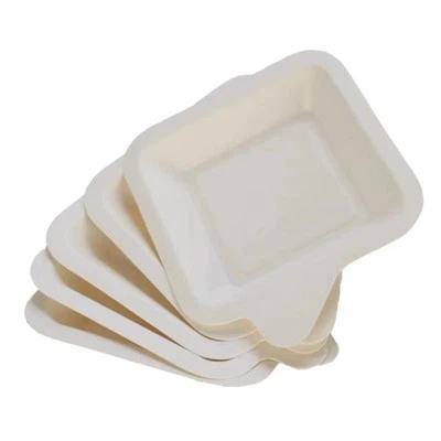 Bagasse Nut Tray